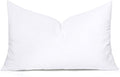 MIULEE Throw Pillow Insert Premium Pillow Stuffer Sham Rectangle for Decorative Cushion Bed Couch Sofa 14x24 Inch