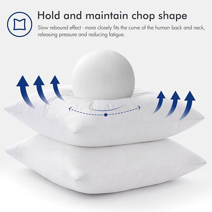 MIULEE Feather Pillow Insert 22x22, Decorative Down Throw Pillow Insert Fluffy Throw Pillow Cotton Fabric for Sofa Bed Couch