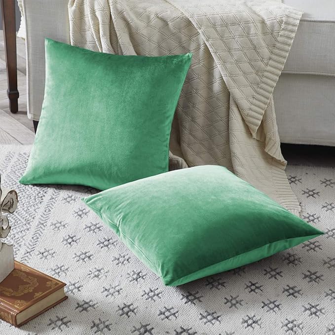 GIGIZAZA Mint Turquoise Velvet Decorative Throw Pillow Covers for Sofa Bed 2 Pack Soft Cushion Cover