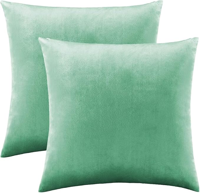 GIGIZAZA Decorative Throw Pillow Covers 16x16,Set of 2 Mint Turquoise Square Couch Pillow Covers,Velvet Sofa Boho Cushion Pillows