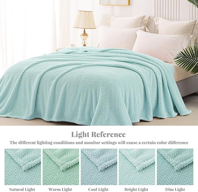 Whale Flotilla King Size Fuzzy Fleece Blanket for Bed, 90x104 Inch Fluffy Warm Soft Jacquard Blankets for All Season, Lightweight and Cozy, Light Blue