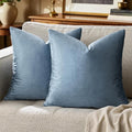 GIGIZAZA Stone Blue Velvet Decorative Throw Pillow Covers 20x20 for Sofa Living Room Soft Cushion Cover Pack of 2