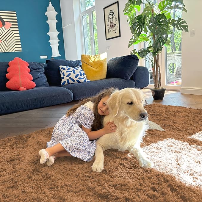 OLANLY 5x7 Machine Washable Large Area Rugs for Living Room, Bedroom, Soft Fluffy Shaggy Bedside Rug, Indoor Floor Carpet for Kids Girls and Boys, Dorms, Nursery, Home Decor Aesthetic, Khaki