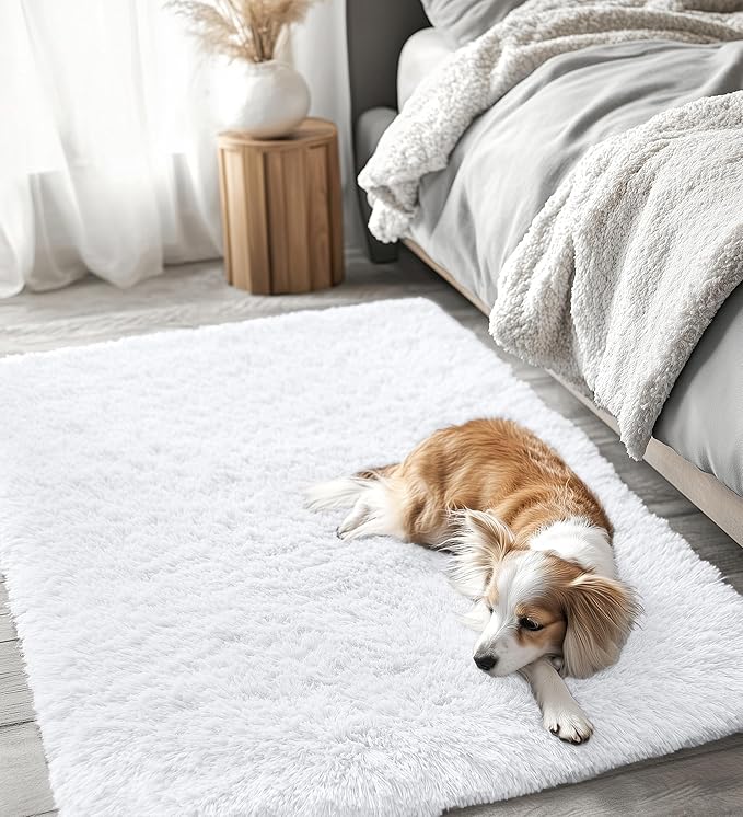 OLANLY 4x5 Machine Washable Accent Rug, Soft Fluffy Shaggy Area Rug for Bedroom, Living Room, Indoor Floor Carpet for Kids, Nursery, Home Decor, White