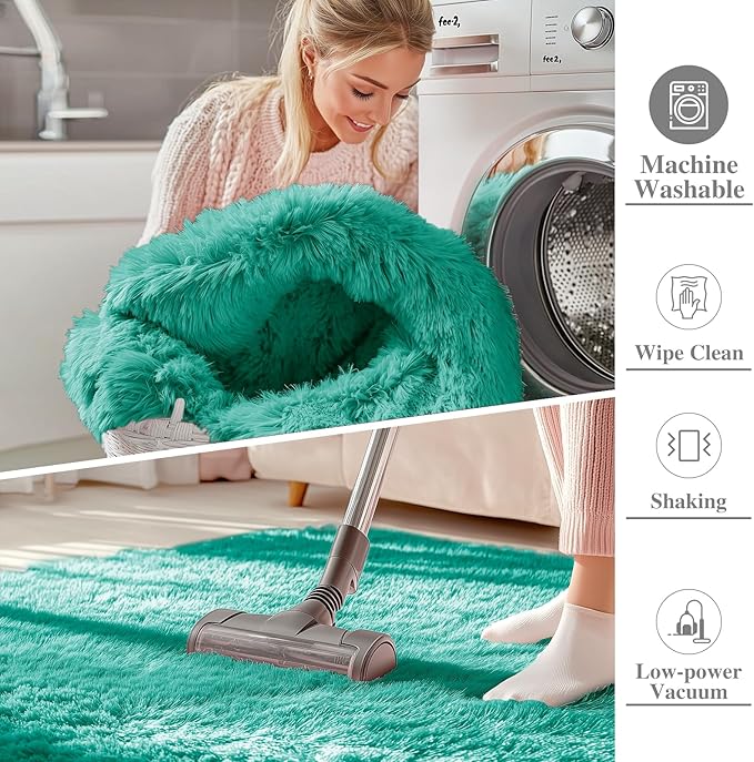 OLANLY Area Rugs for Living Room Bedroom, Machine Washable 4x5.9 ft Soft Fluffy Shaggy Bedside Rug, Indoor Floor Carpet for Kids Girls and Boys, Dorms, Nursery Rooms, Home Decor Aesthetic, Teal Green