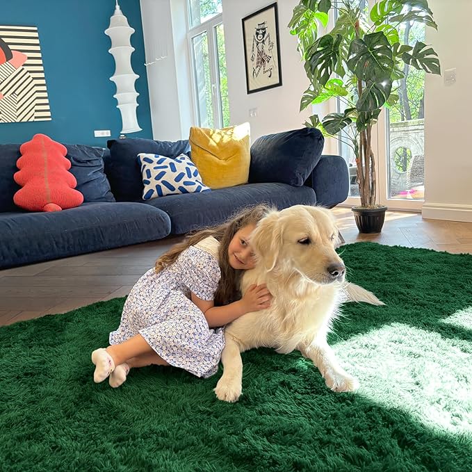 OLANLY Area Rugs for Living Room Bedroom, Machine Washable 4x5.9 ft Soft Fluffy Shaggy Bedside Rug, Indoor Floor Carpet for Kids Girls and Boys, Dorms, Nursery Rooms, Home Decor Aesthetic, Dark Green
