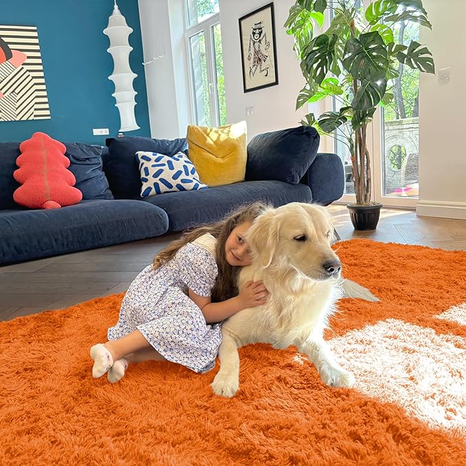 OLANLY 5x7 Machine Washable Large Area Rugs for Living Room, Bedroom, Soft Fluffy Shaggy Bedside Rug, Indoor Floor Carpet for Kids Girls and Boys, Dorms, Home Decor Aesthetic, Orange