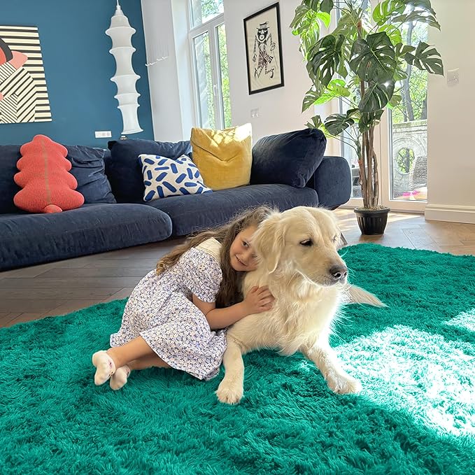 OLANLY Area Rugs for Living Room Bedroom, Machine Washable 4x5.9 ft Soft Fluffy Shaggy Bedside Rug, Indoor Floor Carpet for Kids Girls and Boys, Dorms, Nursery Rooms, Home Decor Aesthetic, Teal Green