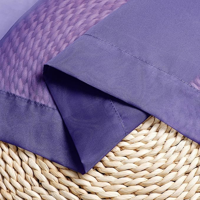 Chyhomenyc Sheer Valances for Windows 2 Pack, Small Window Curtains for Living Room Bathroom Cafe Laundry Basement, Modern Top Dual Rod Pocket Voile Curtain, 42W x 18L inches, Purple