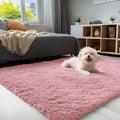 3X5 Machine Washable Small Bedside Rug, Soft Fluffy Shaggy Rugs for Living Room, Bedroom, Indoor Floor Carpet for Kids Girls and Boys, Preppy Dorms, Nursery, Home Decor Aesthetic, Pale Pink