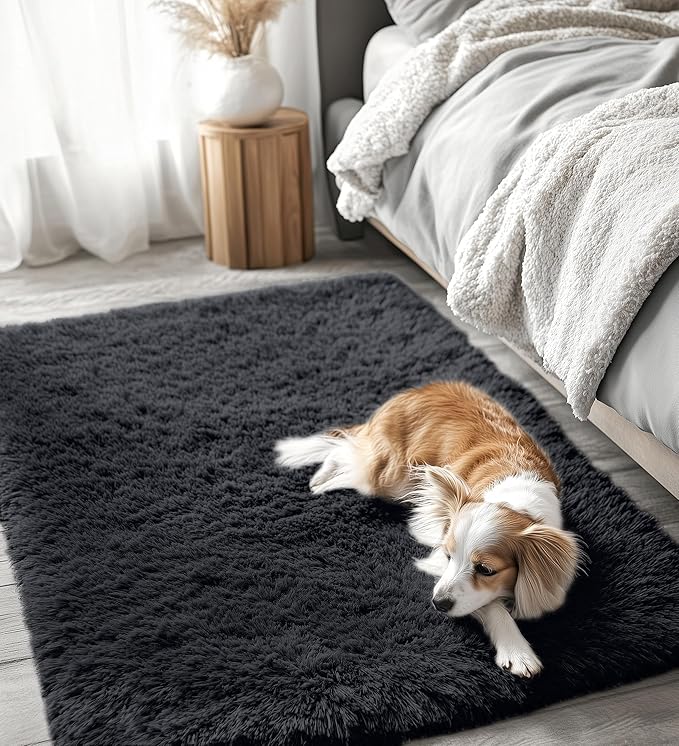 OLANLY 3x4 Machine Washable Accent Rug, Soft Fluffy Shaggy Area Rug for Bedroom, Living Room, Indoor Floor Carpet for Kids, Nursery, Home Decor, Black