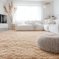 OLANLY 6x9 Machine Washable Large Area Rugs for Living Room, Bedroom, Soft Fluffy Shaggy Bedside Rug, Indoor Floor Carpet for Kids Girls and Boys, Dorms, Nursery, Home Decor Aesthetic, Beige