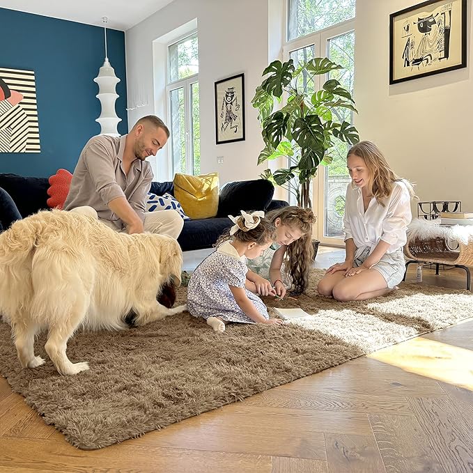 OLANLY 3x5 Machine Washable Small Bedside Rug, Soft Fluffy Shaggy Rugs for Living Room, Bedroom, Indoor Floor Carpet for Kids Girls and Boys, Preppy Dorms, Nursery, Home Decor Aesthetic, Taupe